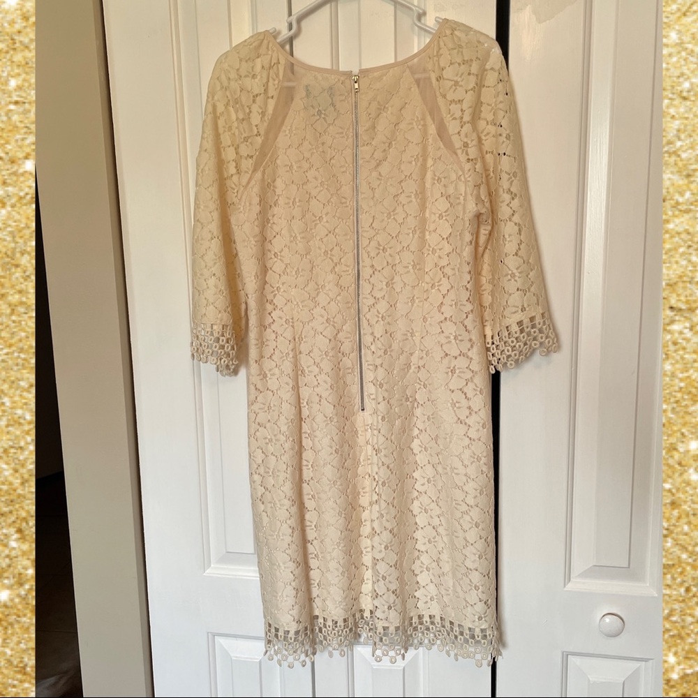 Adrianna Papell Brynna Lace Dress - Stitch Fix - Picture 8 of 9